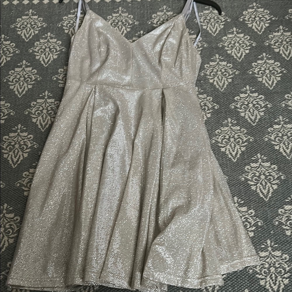 Shimmering Silver Dress